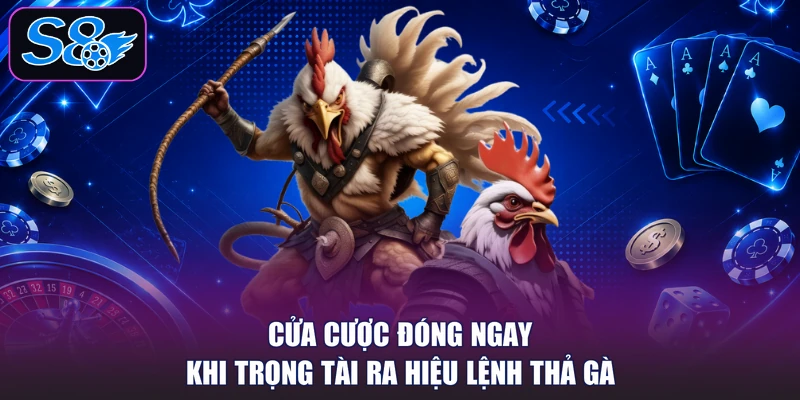 Cửa cược đóng ngay khi trọng tài ra hiệu lệnh thả gà