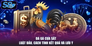 Đá Gà Cựa Sắt - Luật Đấu, Cách Tính Kết Quả Và Lưu Ý