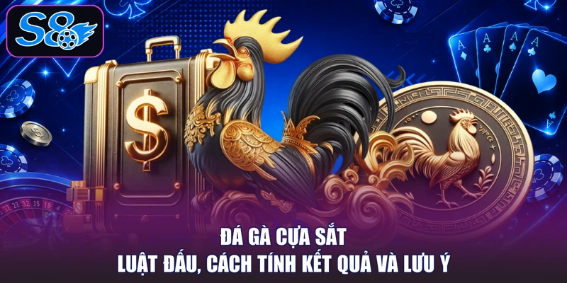 Đá Gà Cựa Sắt - Luật Đấu, Cách Tính Kết Quả Và Lưu Ý