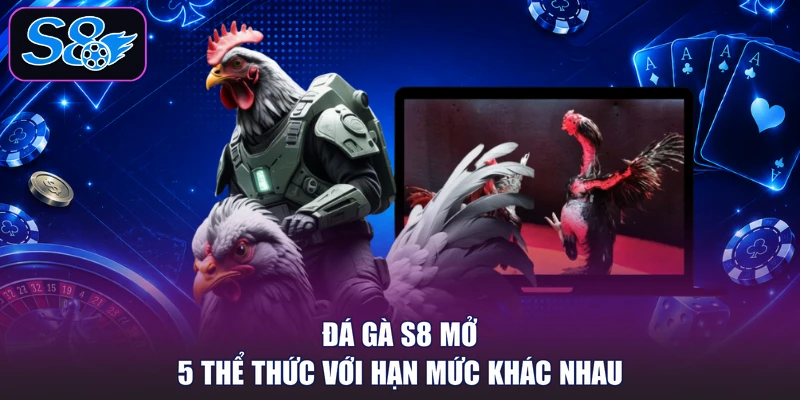 Đá gà S8 mở 5 thể thức với hạn mức khác nhau