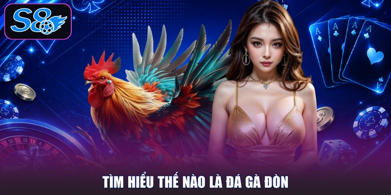 Tìm hiểu thế nào là đá gà đòn